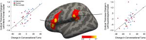 graph depicting cortical changes